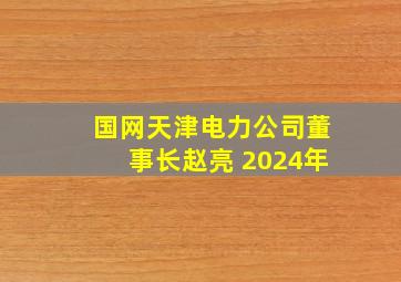 国网天津电力公司董事长赵亮 2024年